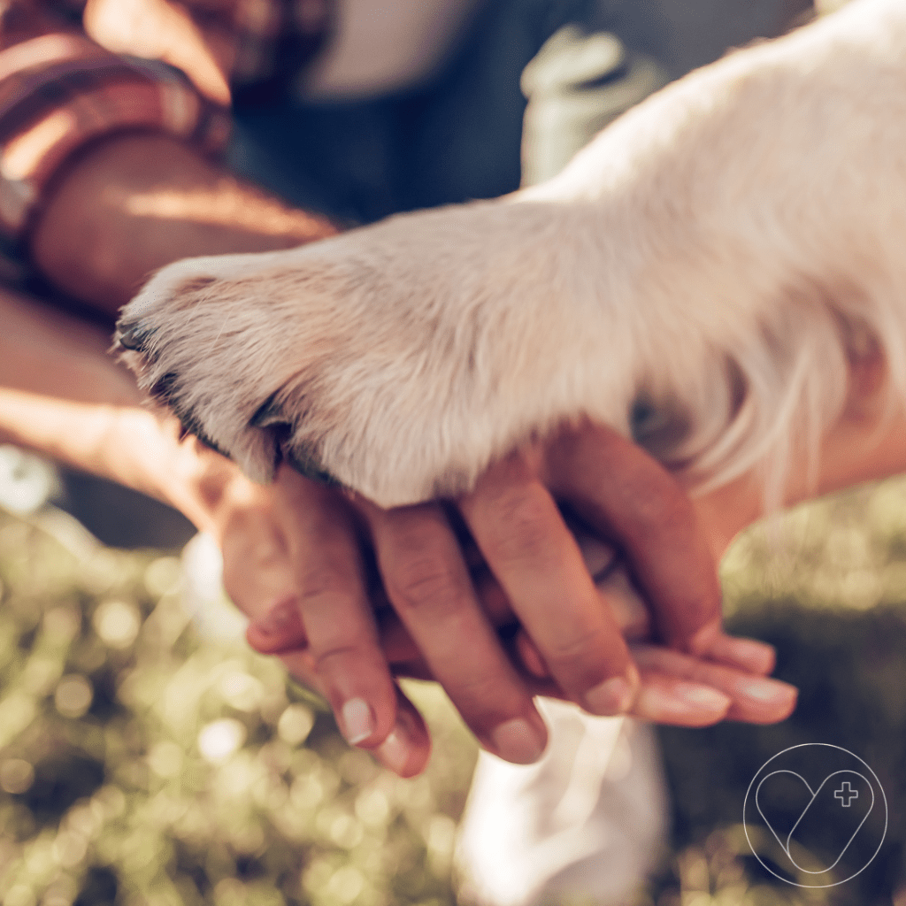 Manos de perro y personas unidos 