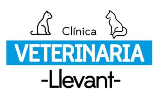 clinica veterinaria llevant