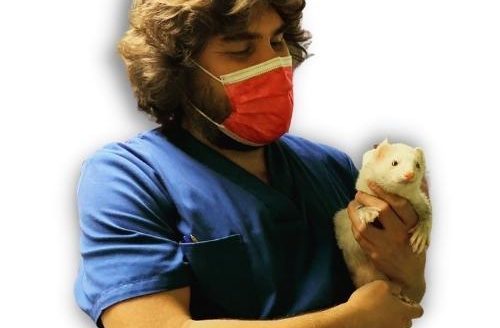 Fausto-Kolise-veterinario-madrid-veterinario-online-vetyou