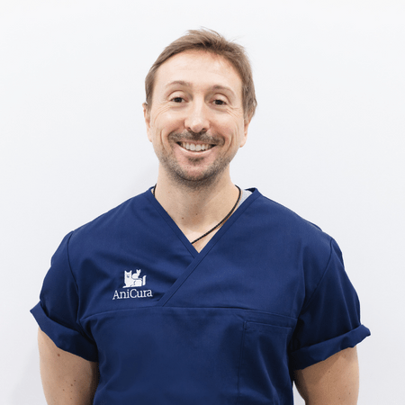 Jorge Llinas-Veterinario Valencia-cirugia veterinaria