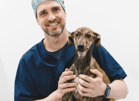 traumatologo veterinario valencia