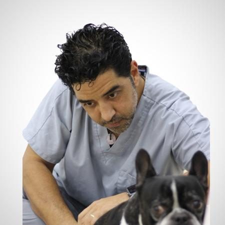 https://vetyou.es/busqueda/clinica-veterinaria-centro-rehabilitacion-arturo-calzada/