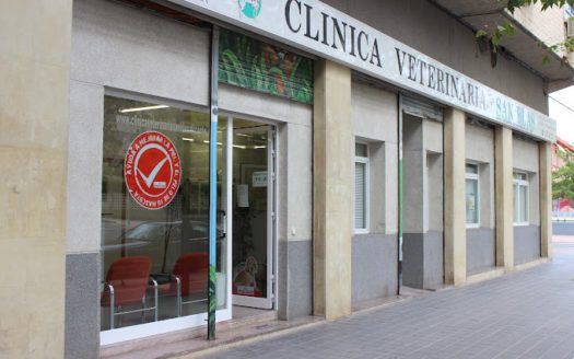 Clinica-veterinaria-san-blas-alicante-veterinario-alicante