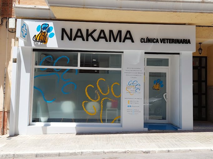 clinica veterinaria Alicante- clinica veterinaria Nakama-veterinario alicante.jpg