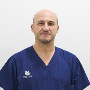 Jaime Viscasillas- anestesia-veterinaria-hospital-veterinario-valencia
