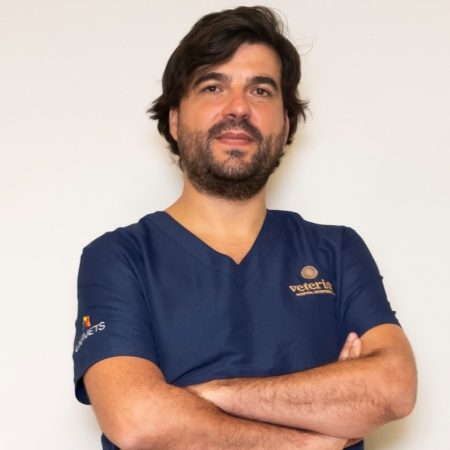 Felipe-de-Vicente-cirugia-veterinaria-madrid-traumatologo-veterinario-madrid-hospital-veterinario-24-horas