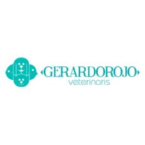 Clínica veterinaria valencia-gerardo rojo-vetyou