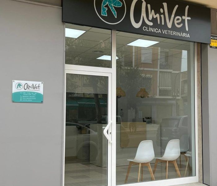 amivet-veterinaria-meliana