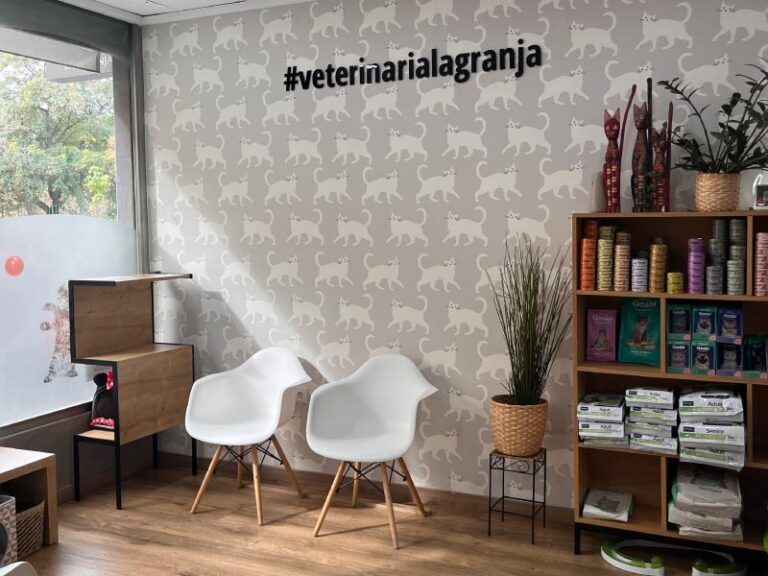 galeria-2