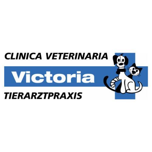 veterinaria victoria moraira