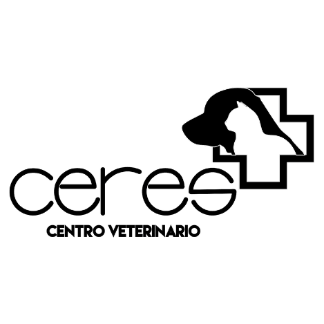 clinica veterinario madrid-ceres- veterinario en usera