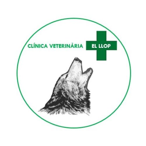 clinica veterinaria moncada-el llop-veterinario moncada