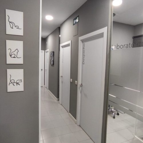clinica veterinario madrid-ceres- veterinario usera