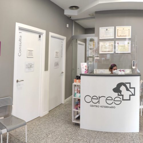 clinica veterinario madrid-ceres- veterinario usera