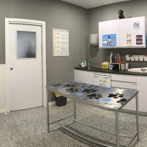 clinica veterinario madrid-ceres- veterinario usera