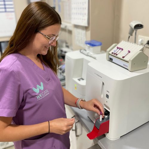 veterinario alzira-wecan castells- laboratorio