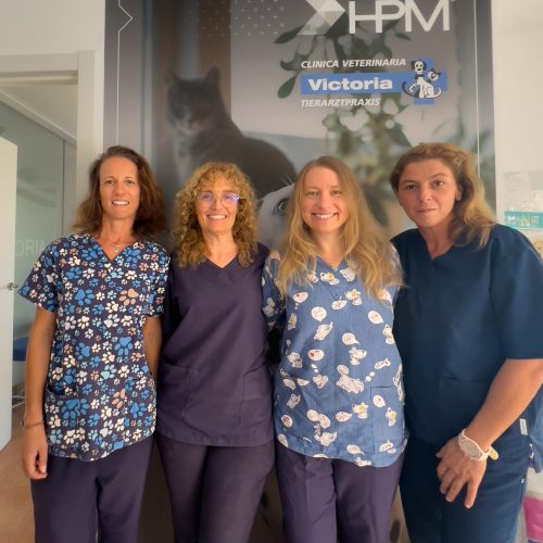 veterinario moraira-veterinaria victoria